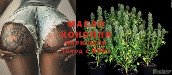 мет Протвино