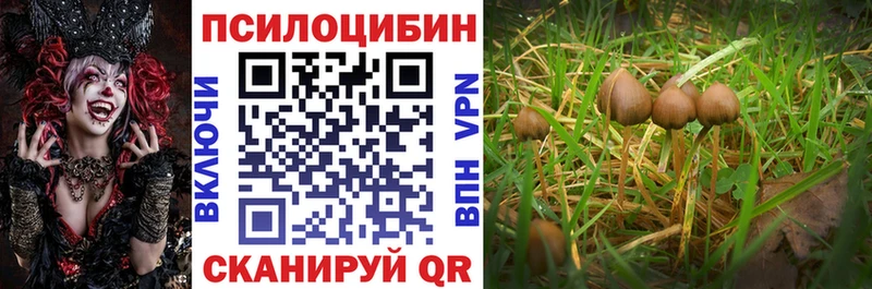Псилоцибиновые грибы Psilocybine cubensis  купить закладку  Стрежевой 