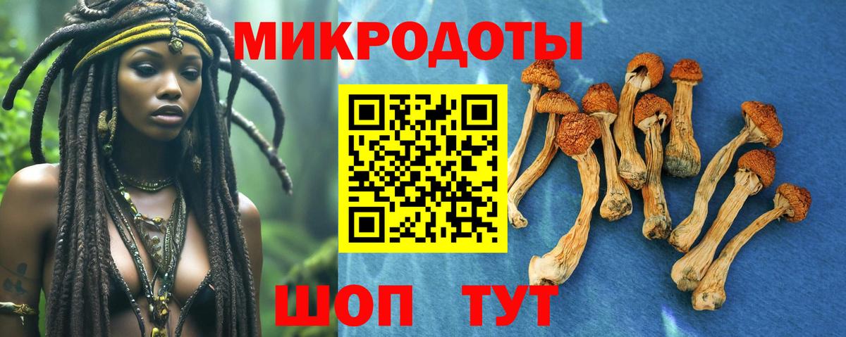 Стрежевой  Галлюциногенные грибы Psilocybe  Вход с VPN 